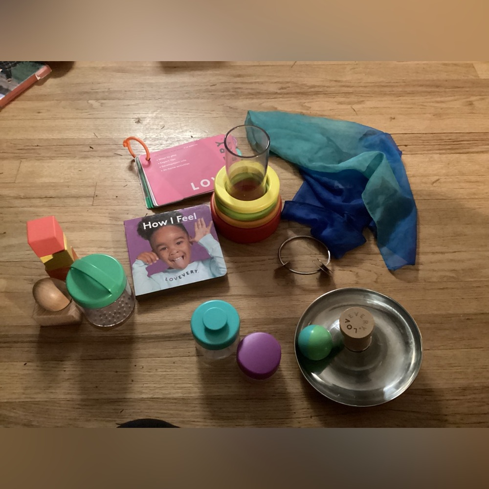 COPY - 9-10 months Lovevery play kit